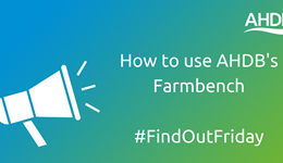 How to use AHDB's Farmbench